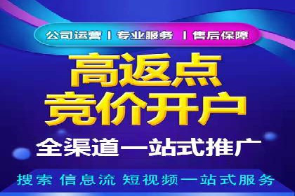 SEM投放策略：成功案例解析